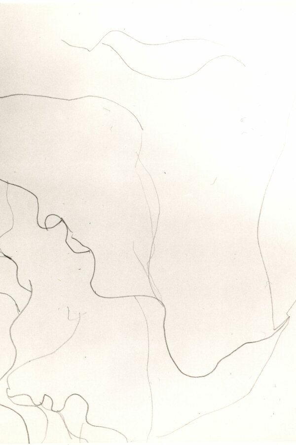 Miloš Šejn, Javorový důl, 1979, tužka